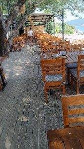 IMG_20240613_165913_copy_405x720