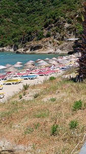 IMG_20240615_131307_copy_405x720