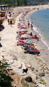 IMG_20240615_133538_copy_405x720