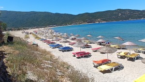 IMG_20240615_133941_copy_1277x720
