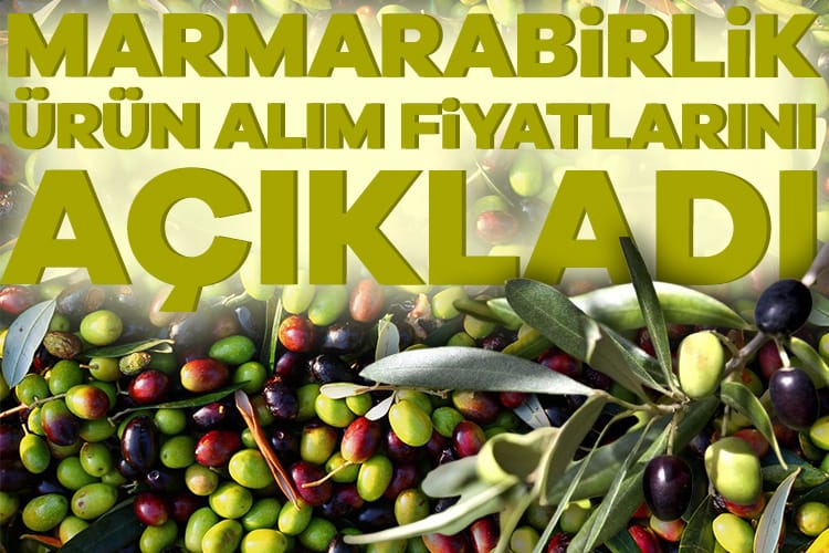 Marmara Birlik ürün alım fiyatlarını açıkladı