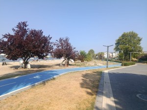 IMG-20260722-WA0054