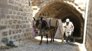 images (10) (25)