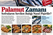 Palamut Zamanı: Sofraların Sevilen Balığı Nasıl Pişirilir?