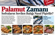 Palamut Zamanı: Sofraların Sevilen Balığı Nasıl Pişirilir?